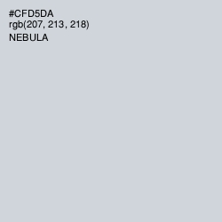 #CFD5DA - Nebula Color Image