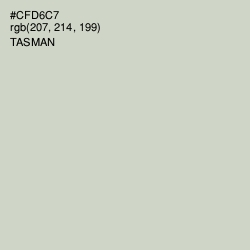 #CFD6C7 - Tasman Color Image