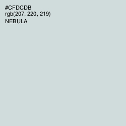 #CFDCDB - Nebula Color Image