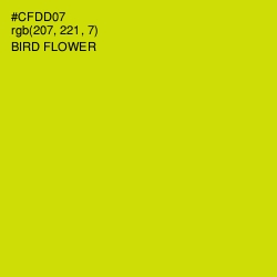 #CFDD07 - Bird Flower Color Image