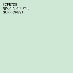 #CFE7D5 - Surf Crest Color Image