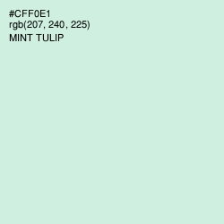 #CFF0E1 - Mint Tulip Color Image