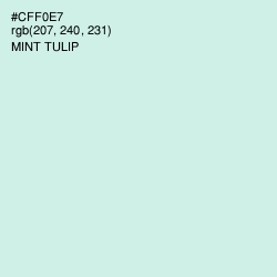 #CFF0E7 - Mint Tulip Color Image