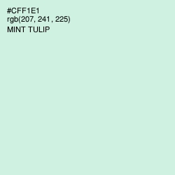 #CFF1E1 - Mint Tulip Color Image