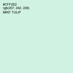 #CFF2E2 - Mint Tulip Color Image