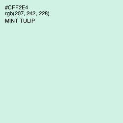 #CFF2E4 - Mint Tulip Color Image