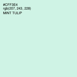 #CFF3E4 - Mint Tulip Color Image