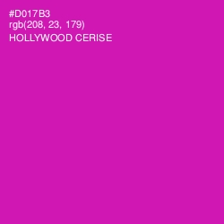 #D017B3 - Hollywood Cerise Color Image