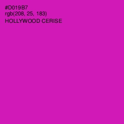 #D019B7 - Hollywood Cerise Color Image