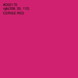#D02170 - Cerise Red Color Image