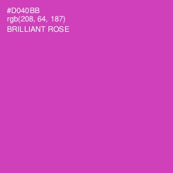 #D040BB - Brilliant Rose Color Image