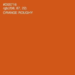 #D05716 - Orange Roughy Color Image