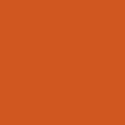 #D0571F - Orange Roughy Color Image