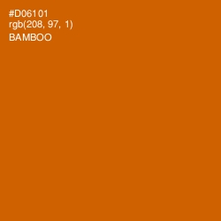 #D06101 - Bamboo Color Image