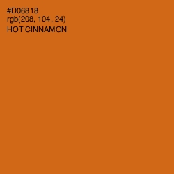 #D06818 - Hot Cinnamon Color Image
