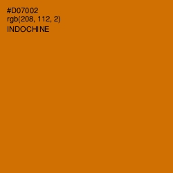 #D07002 - Indochine Color Image