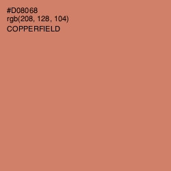 #D08068 - Copperfield Color Image