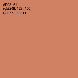 #D08164 - Copperfield Color Image