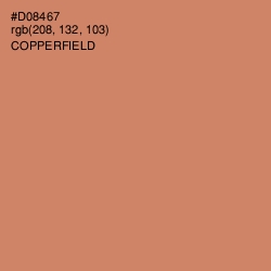 #D08467 - Copperfield Color Image