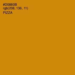 #D0880B - Pizza Color Image