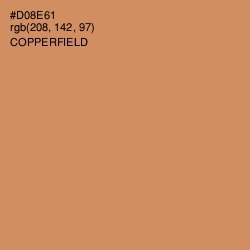#D08E61 - Copperfield Color Image