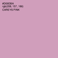 #D09DBA - Careys Pink Color Image