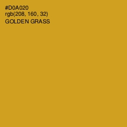 #D0A020 - Golden Grass Color Image