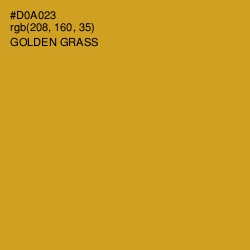 #D0A023 - Golden Grass Color Image