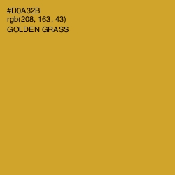 #D0A32B - Golden Grass Color Image