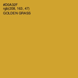 #D0A32F - Golden Grass Color Image