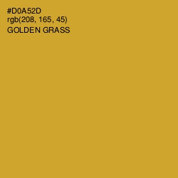 #D0A52D - Golden Grass Color Image