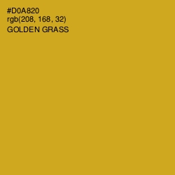 #D0A820 - Golden Grass Color Image