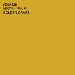 #D0A928 - Golden Grass Color Image