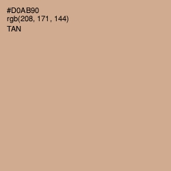 #D0AB90 - Tan Color Image