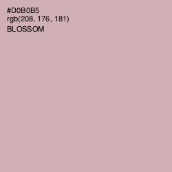 #D0B0B5 - Blossom Color Image