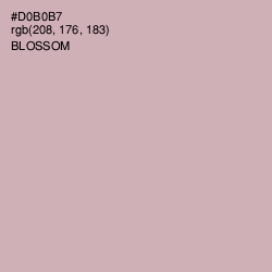 #D0B0B7 - Blossom Color Image