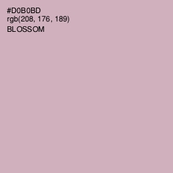 #D0B0BD - Blossom Color Image