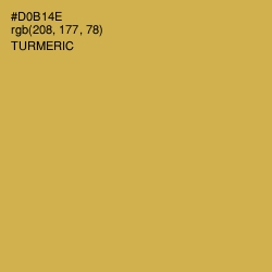 #D0B14E - Turmeric Color Image