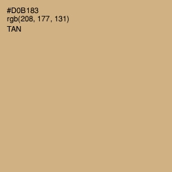 #D0B183 - Tan Color Image