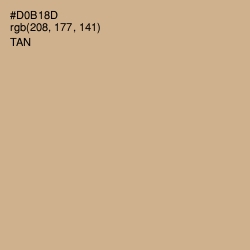 #D0B18D - Tan Color Image