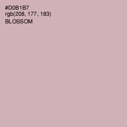 #D0B1B7 - Blossom Color Image