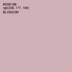 #D0B1B8 - Blossom Color Image