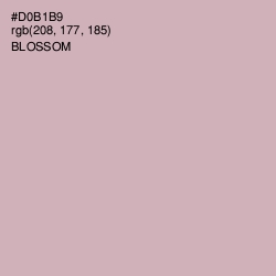 #D0B1B9 - Blossom Color Image