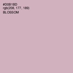 #D0B1BD - Blossom Color Image