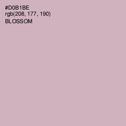 #D0B1BE - Blossom Color Image