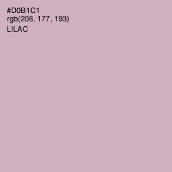 #D0B1C1 - Lilac Color Image