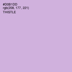 #D0B1DD - Thistle Color Image