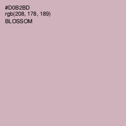 #D0B2BD - Blossom Color Image