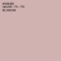 #D0B3B0 - Blossom Color Image