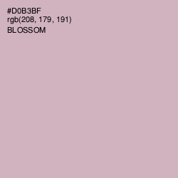 #D0B3BF - Blossom Color Image